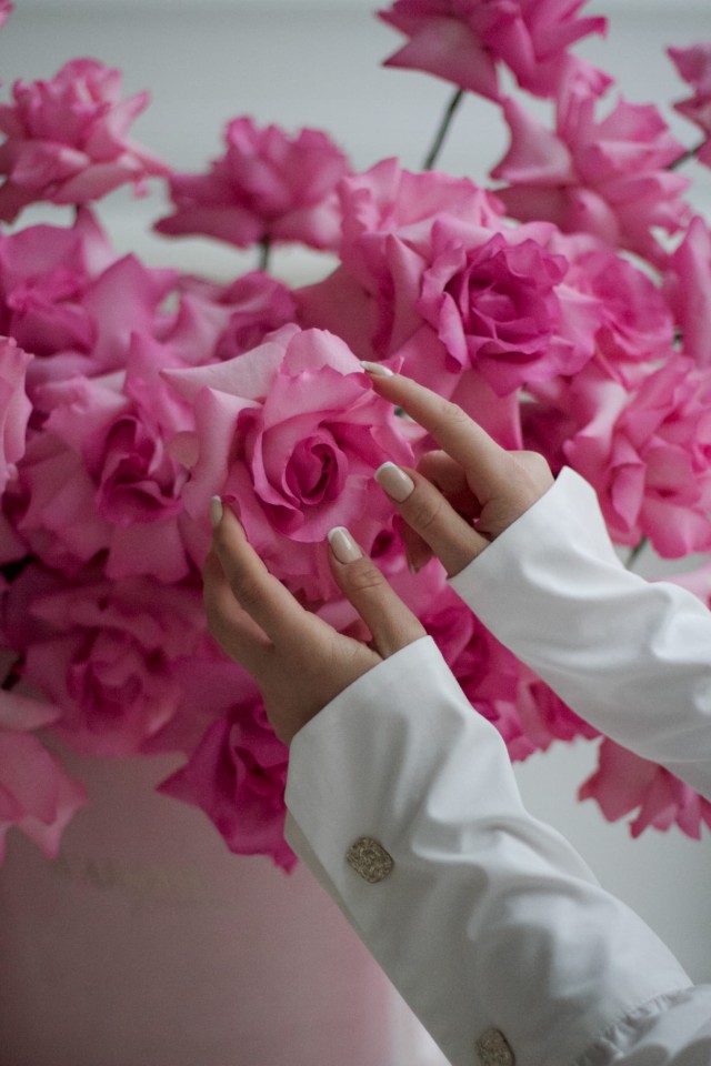 pink reflexed roses