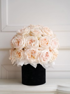 Flowerbox White O'Hara