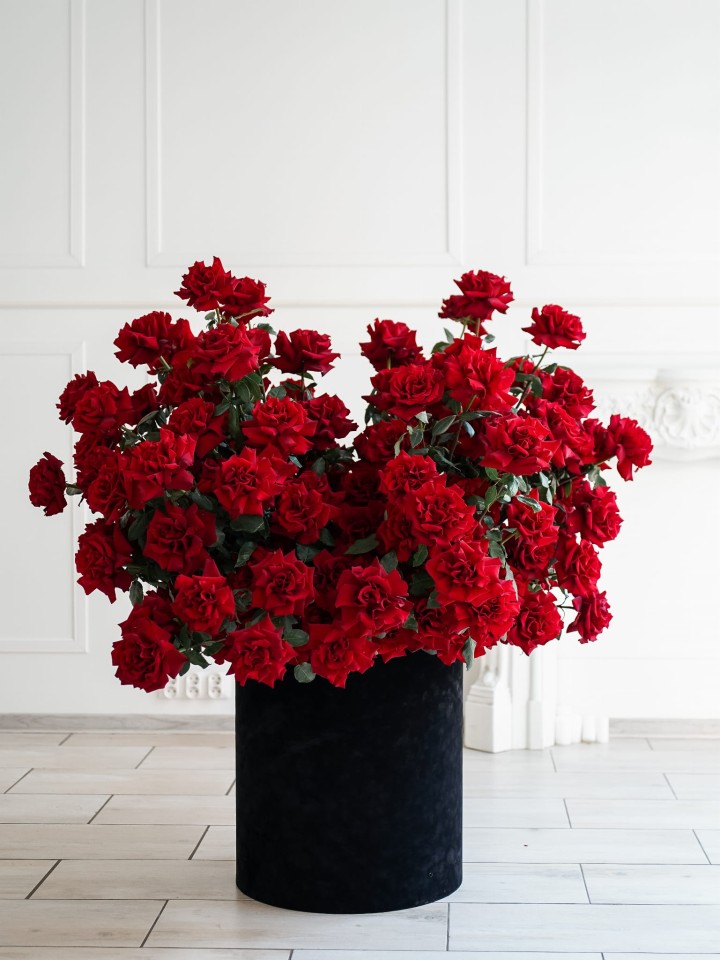 GIANT flowerbox red roses Warsaw Flowers