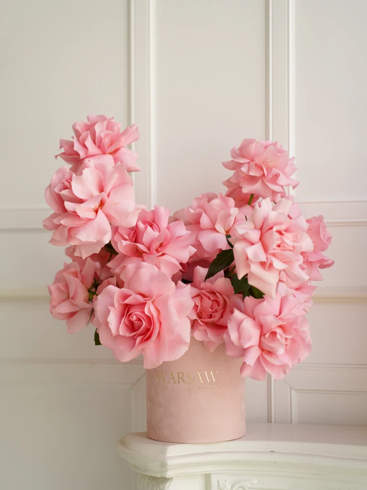 flowerbox Velvet Blush Warsaw Flowers