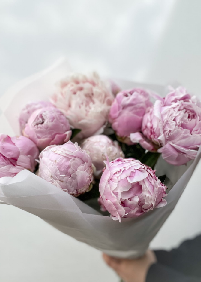 10 różowych piwonii Warsaw Flowers