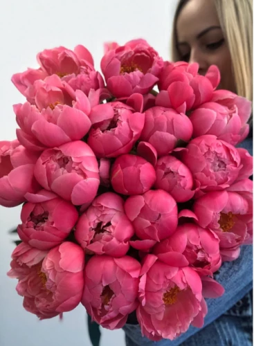 30 Coral peonies Warsaw Flowers
