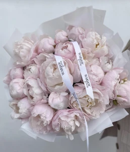Bouquet of POWDER PINK peonies