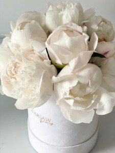 Flowerbox of peonies WHITE 15 pcs
